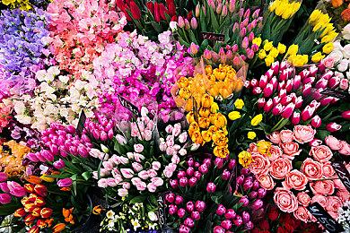 地牢探险卡牌游戏《地穴抓娃娃》现已在Steam平台正式推出